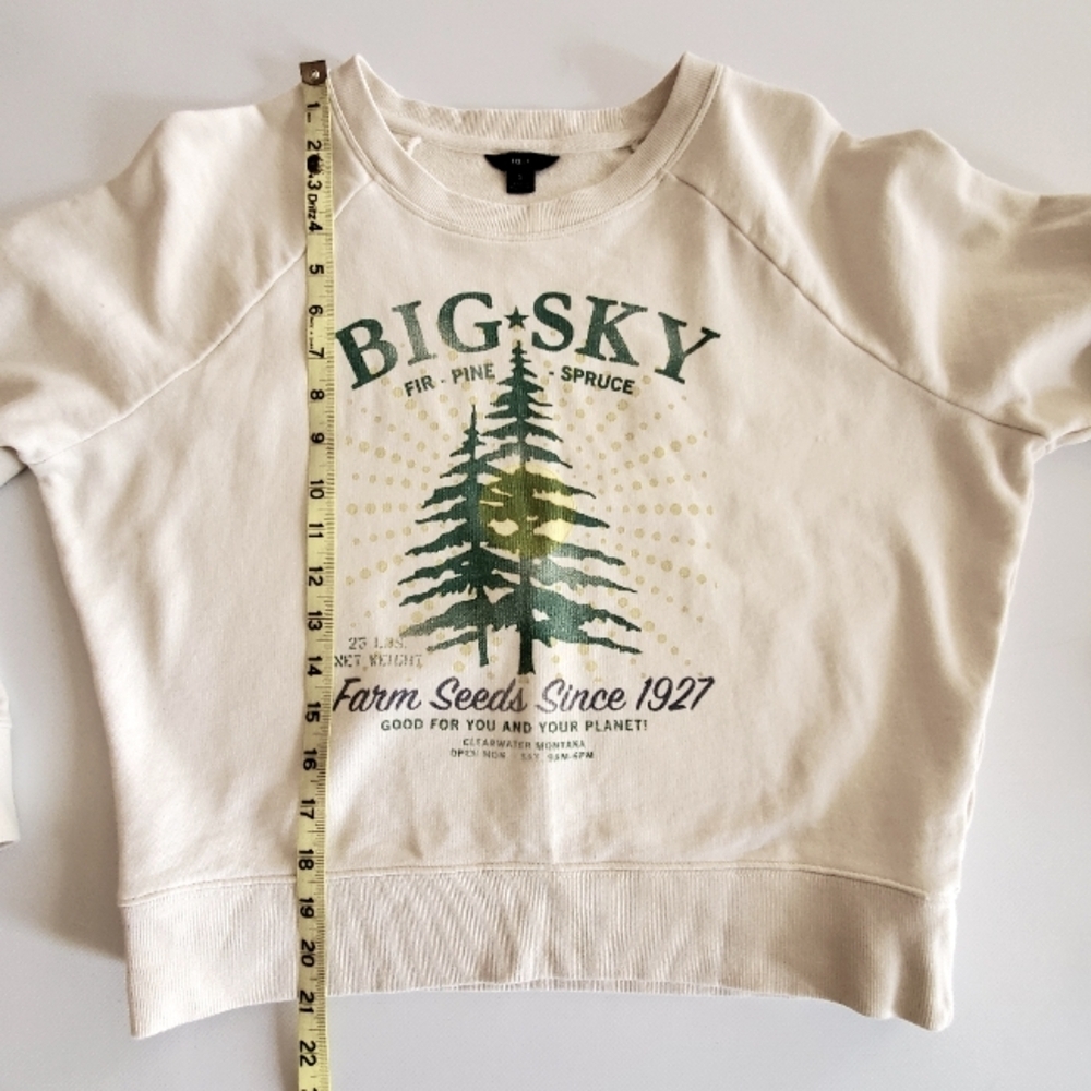 J. Crew Cream Hoodie with Green and Yellow Design - Picture 7 of 7